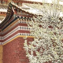 阿坝旅游 缩略图 4