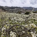 成都旅游 缩略图 7