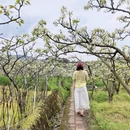 成都旅游 缩略图 9