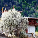 阿坝旅游 缩略图 5