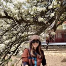 阿坝旅游 缩略图 7