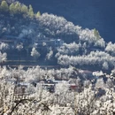 阿坝旅游 缩略图 5