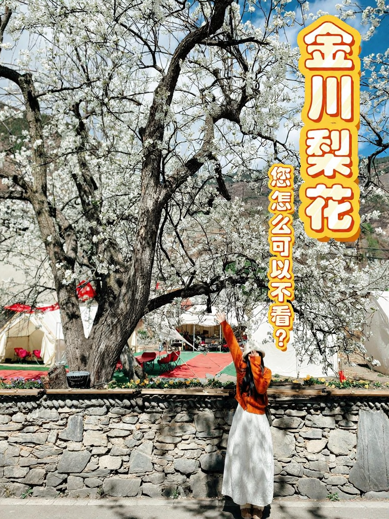 阿坝旅游