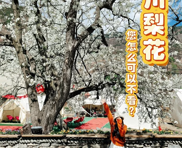 阿坝旅游 1