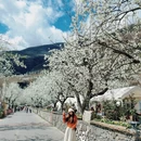 阿坝旅游 缩略图 10