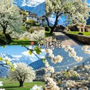 阿坝旅游 缩略图 5