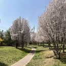 兰州旅游 缩略图 5