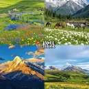阿坝旅游 缩略图 6