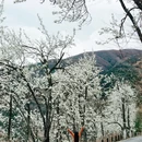 阿坝旅游 缩略图 16