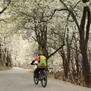 阿坝旅游 缩略图 3