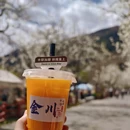 阿坝旅游 缩略图 6