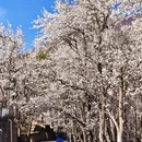 阿坝旅游 缩略图 8