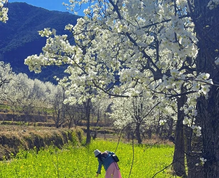阿坝旅游 1