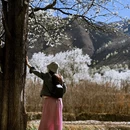 阿坝旅游 缩略图 2