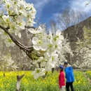 阿坝旅游 缩略图 1