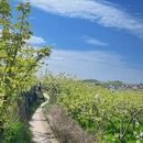 成都旅游 缩略图 3