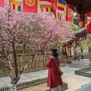 石家庄旅游 缩略图 2