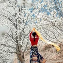 阿坝旅游 缩略图 3