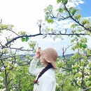 成都旅游 缩略图 4
