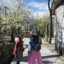 阿坝旅游 缩略图 13