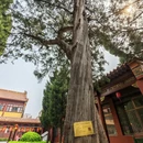 石家庄旅游 缩略图 10