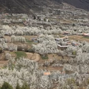阿坝旅游 缩略图 6