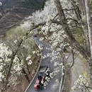 阿坝旅游 缩略图 3