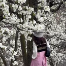 阿坝旅游 缩略图 4