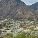 阿坝旅游 缩略图 5