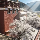 甘孜旅游 缩略图 4