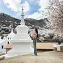 甘孜旅游 缩略图 3