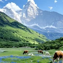 甘孜旅游 缩略图 2