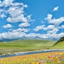 甘孜旅游 缩略图 3