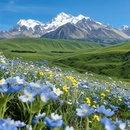 甘孜旅游 缩略图 7