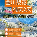 成都旅游 缩略图 1