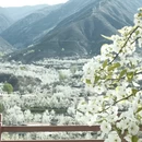 成都旅游 缩略图 3