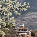 阿坝旅游 缩略图 5