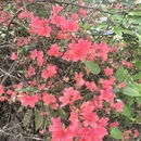 宣城旅游 缩略图 1