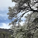 阿坝旅游 缩略图 1