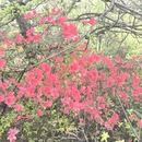 宣城旅游 缩略图 4