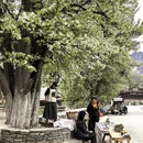 阿坝旅游 缩略图 4