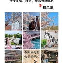 阿坝旅游 缩略图 5