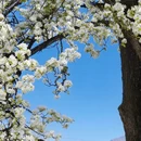阿坝旅游 缩略图 5