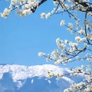 阿坝旅游 缩略图 7