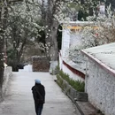 成都旅游 缩略图 4