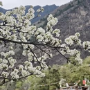阿坝旅游 缩略图 12