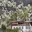 阿坝旅游 缩略图 13