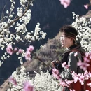 阿坝旅游 缩略图 9