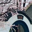 石家庄旅游 缩略图 7