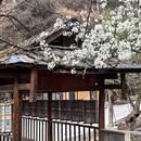 阿坝旅游 缩略图 6
